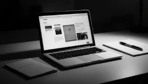 Zingyzon com in USA digital platform review on laptop screen